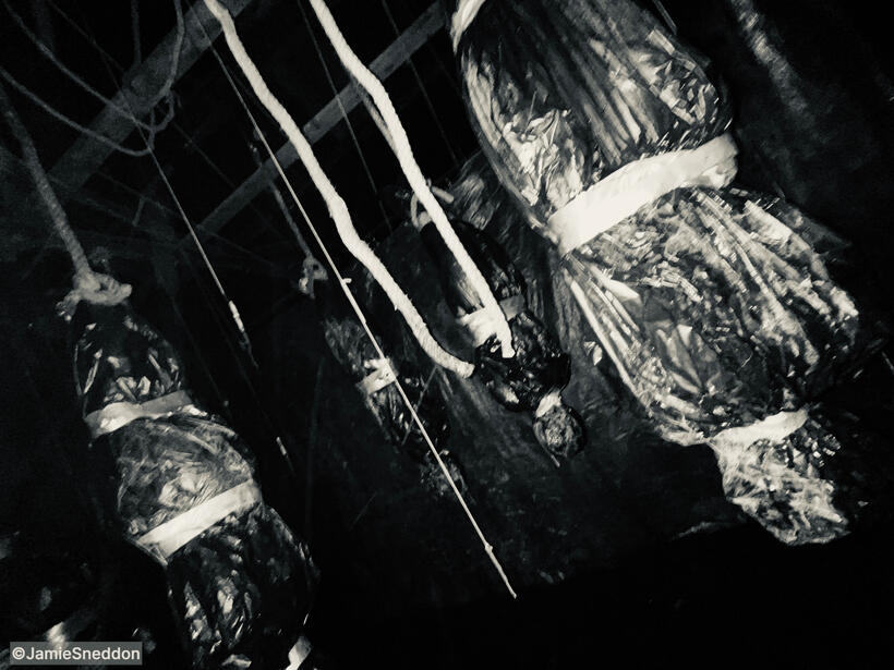 Winnie the Pooh Blood &amp; Honey 2 - Tiggers Larder..