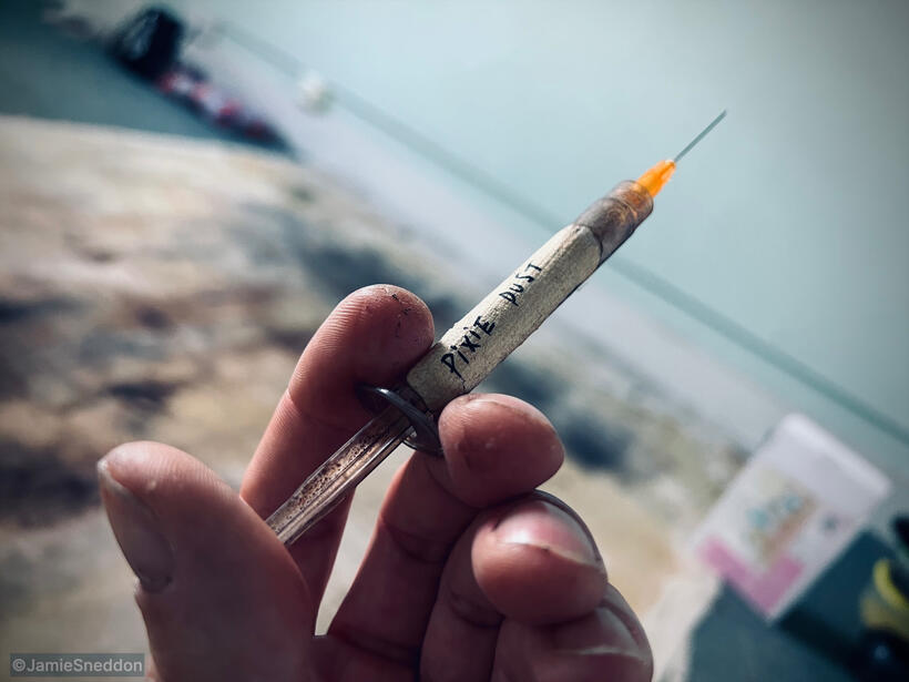 Peter Pan’s Neverland Nightmare - Tinkerbell’s pixie dust